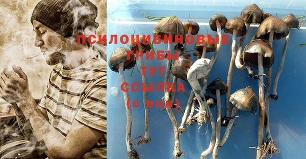 герыч Покровск