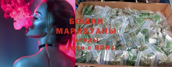 spice Арсеньев
